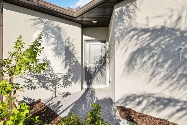 a view of a tree with flower plants