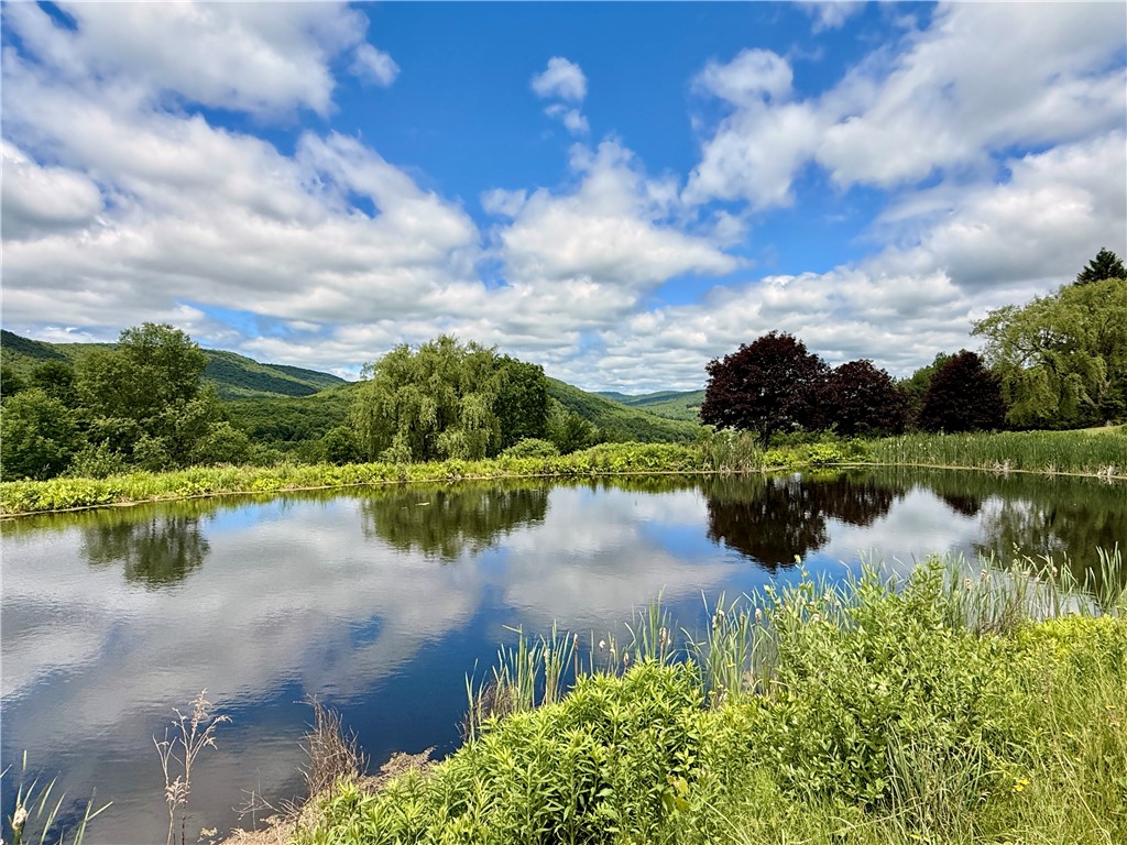 240 Dowie Road Andes, NY 13731 - Photo 42 of 49