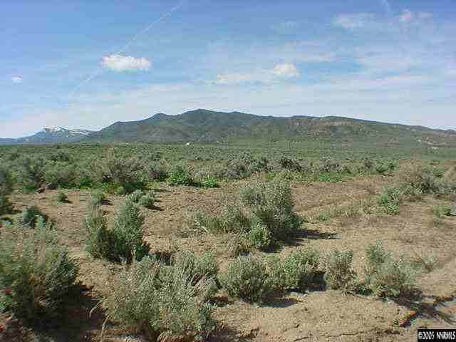 3700 Piute Creek Road Reno, NV 89510 - Photo 2 of 2 a view of a mountain range with a lush green forest