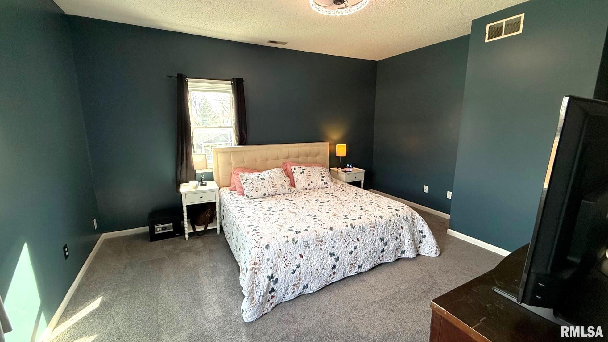 107 East Rutledge Street Petersburg, IL 62675 - Photo 48 of 69 Gallery Image 48