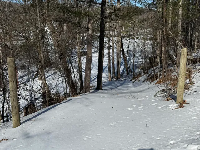 a view of a road with trees in the background