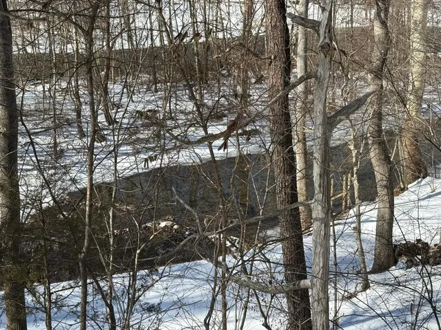 a backyard of a house