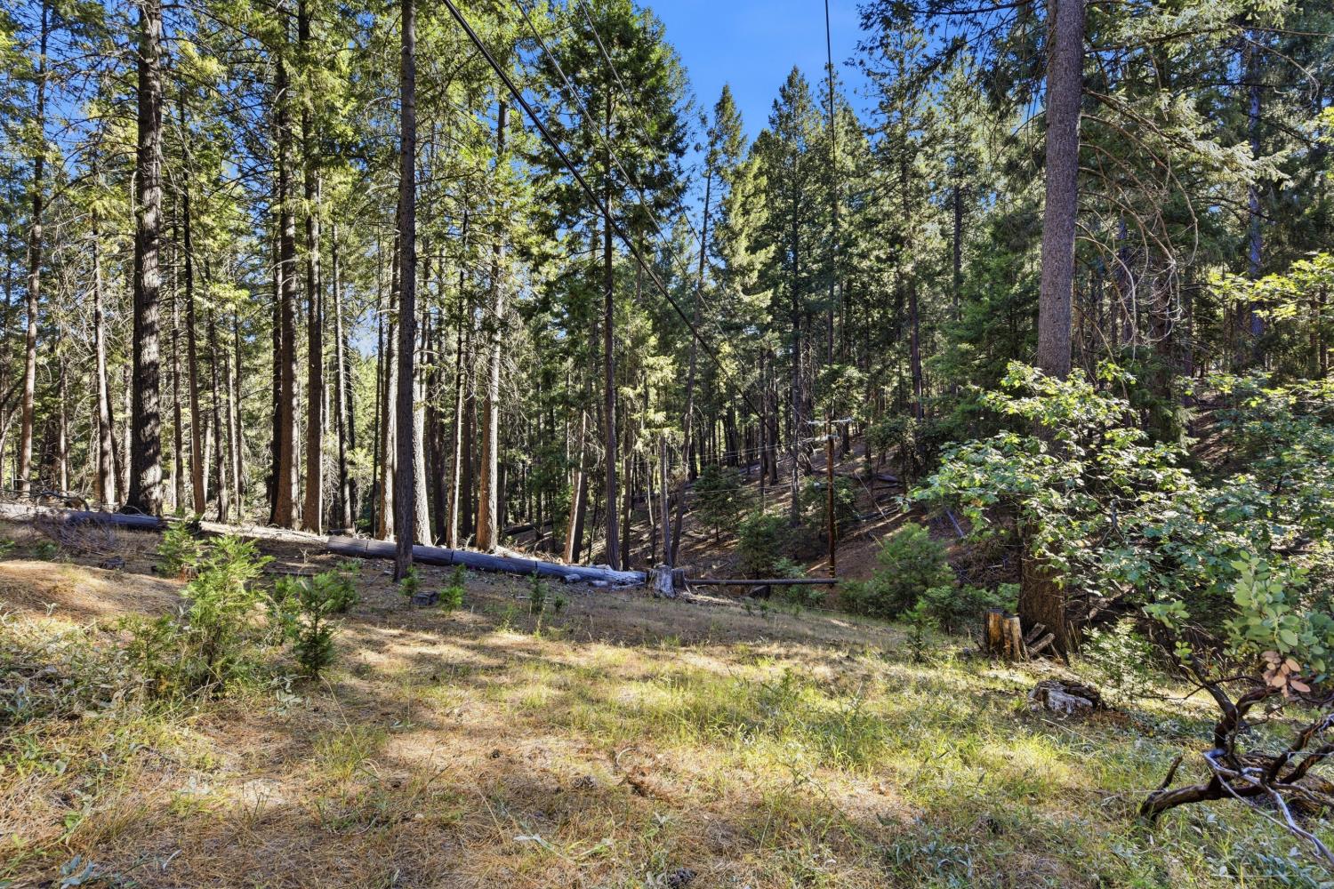 5960 Juarez Road Placerville, CA 95667 - Photo 34 of 40