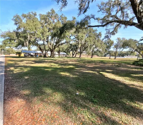 a big yard with lots of green space