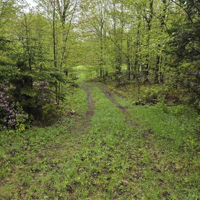 250 Kinney Hill Road Newark, VT 05871 - Photo 25 of 34