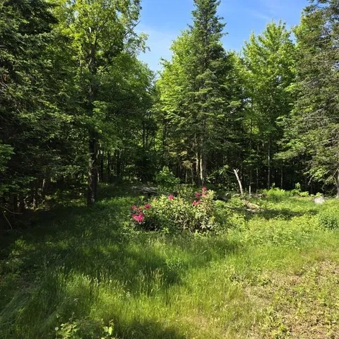 $145,000 | 250 Kinney Hill Road, Newark, VT 05871