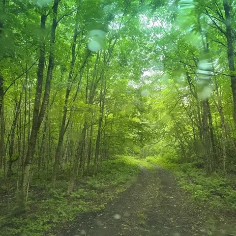 $145,000 | 250 Kinney Hill Road, Newark, VT 05871