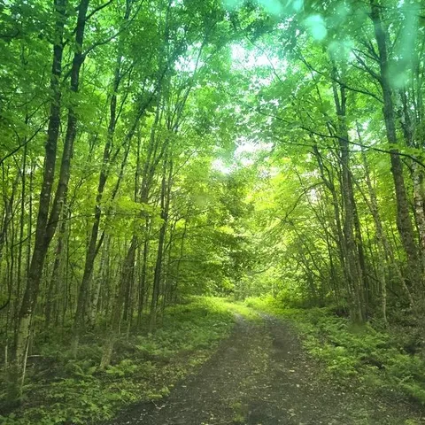 $145,000 | 250 Kinney Hill Road, Newark, VT 05871