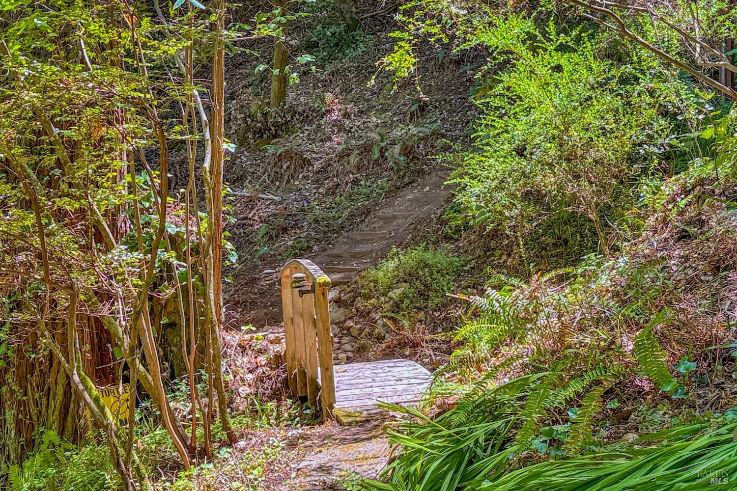 21565 Highland Terrace Monte Rio, CA 95462 - Photo 29 of 34