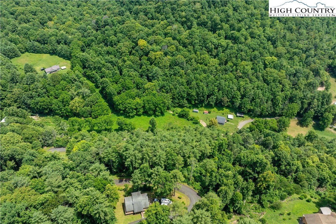 Lot 1 Lake Ridge Butler, TN 37640 - Photo 14 of 24 a view of a lush green forest with lots of trees