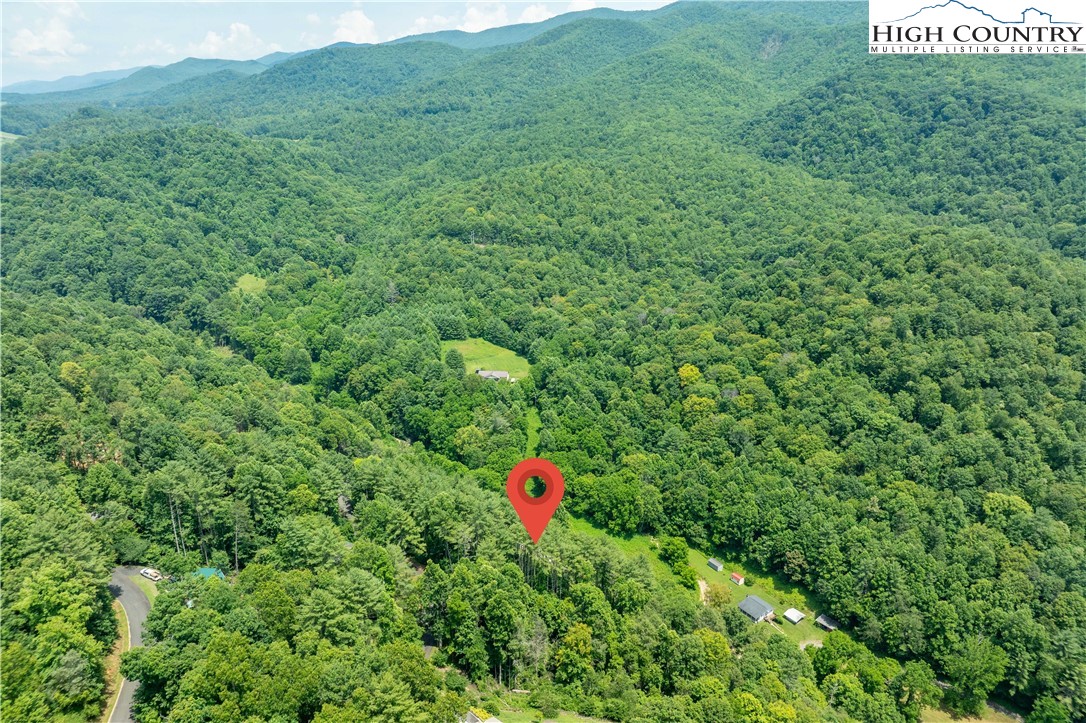 Lot 1 Lake Ridge Butler, TN 37640 - Photo 15 of 24 a view of a lush green forest