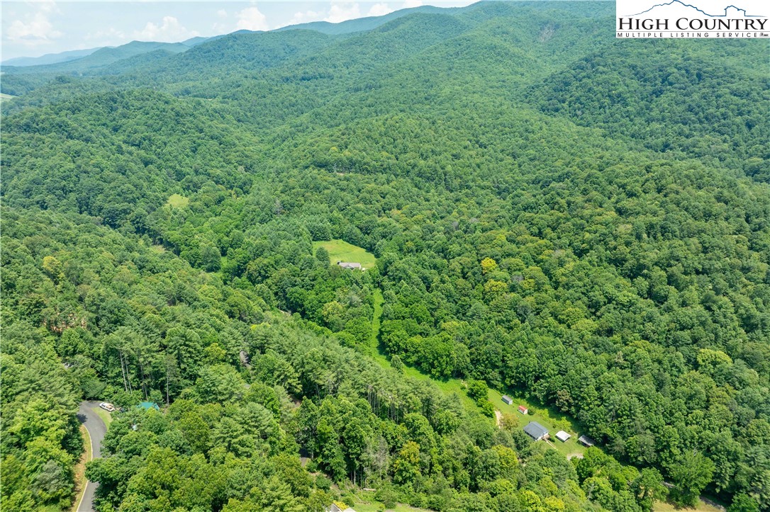 Lot 1 Lake Ridge Butler, TN 37640 - Photo 16 of 24 a view of a lush green field