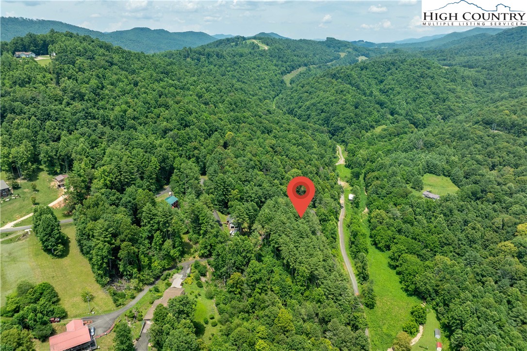 Lot 1 Lake Ridge Butler, TN 37640 - Photo 17 of 24 a view of a tree in a yard