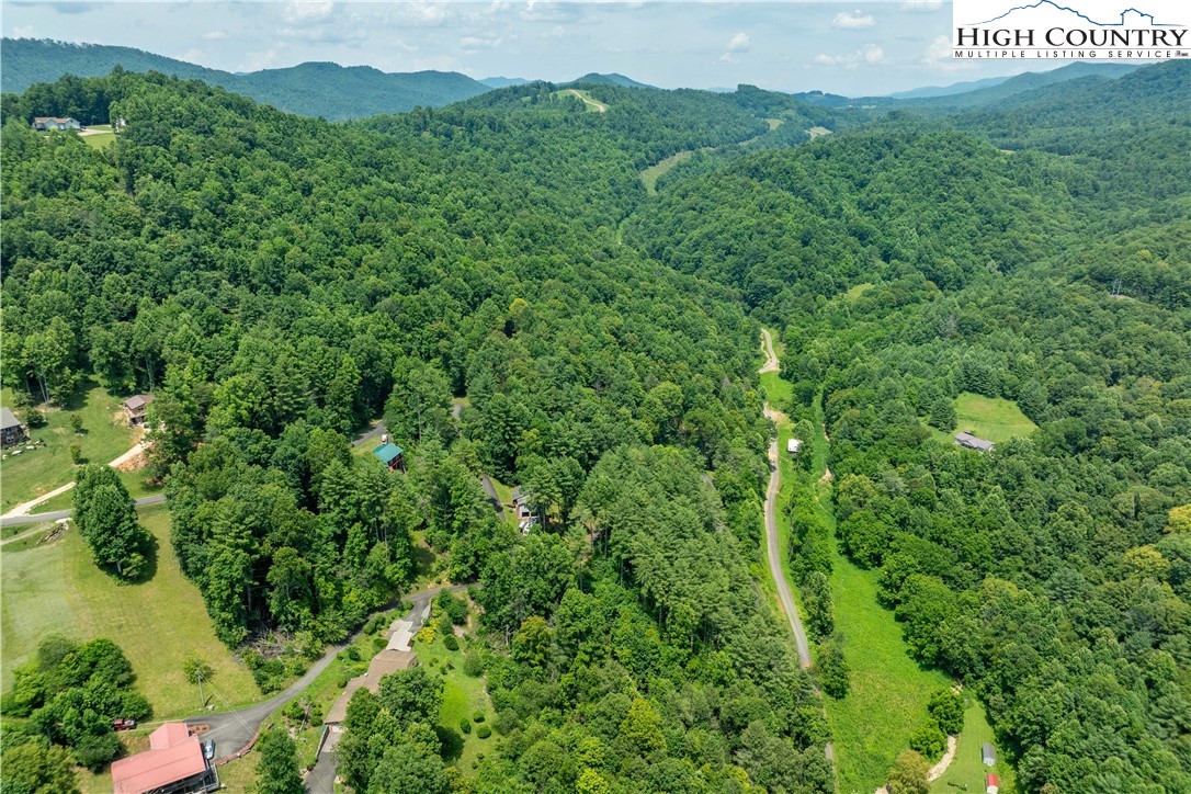 Lot 1 Lake Ridge Butler, TN 37640 - Photo 18 of 24 a view of a lush green forest with houses