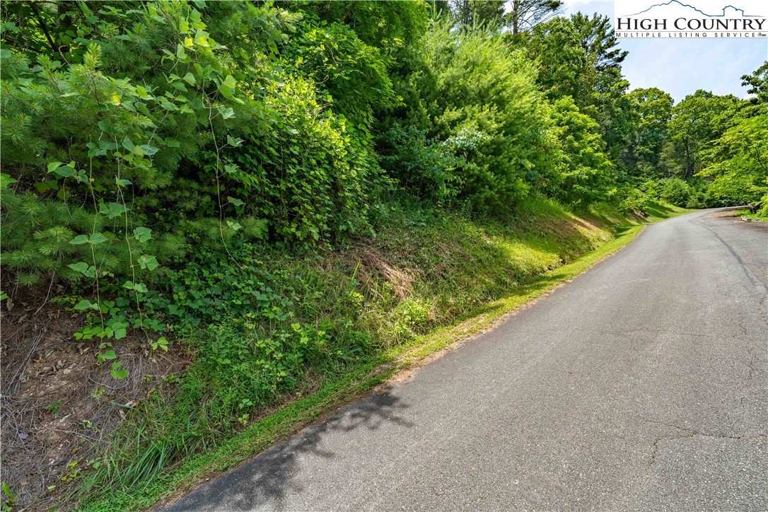 Lot 1 Lake Ridge Butler, TN 37640 - Photo 19 of 24 a view of a garden