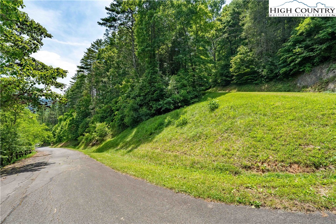 Lot 1 Lake Ridge Butler, TN 37640 - Photo 20 of 24 a view of a yard with a plants