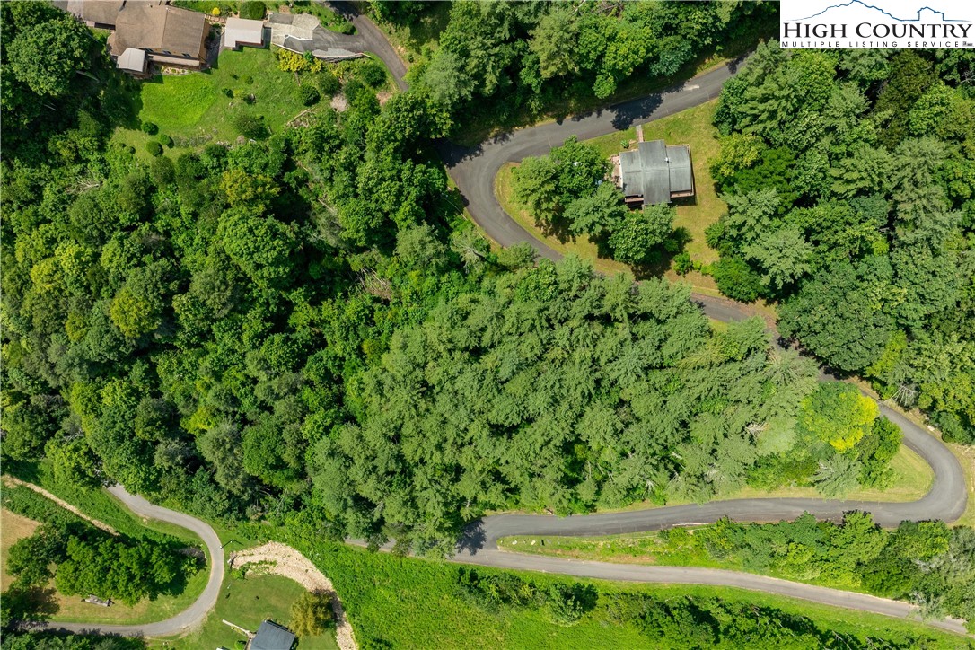 Lot 1 Lake Ridge Butler, TN 37640 - Photo 2 of 24 a view of a yard with plants