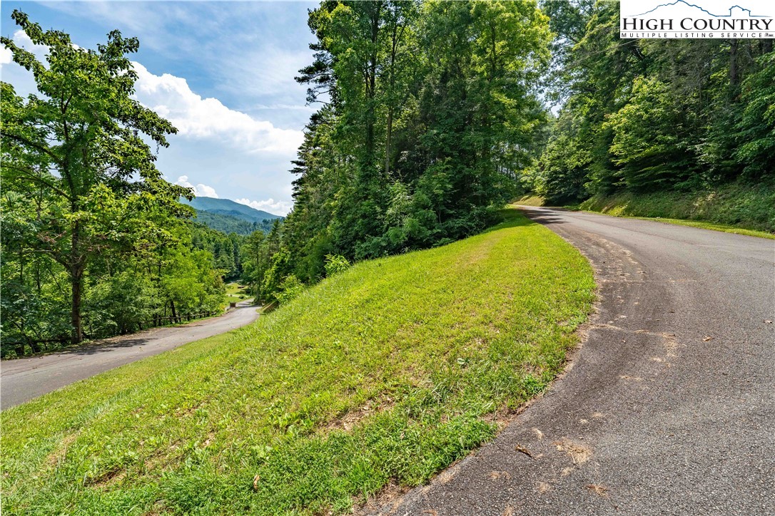 Lot 1 Lake Ridge Butler, TN 37640 - Photo 21 of 24 a view of a swimming pool with a garden