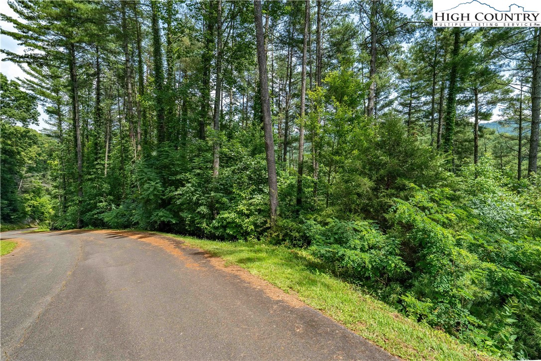 Lot 1 Lake Ridge Butler, TN 37640 - Photo 22 of 24 a view of a backyard of a house