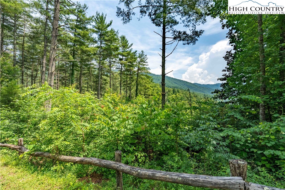 Lot 1 Lake Ridge Butler, TN 37640 - Photo 23 of 24 a view of a yard with plants and large trees