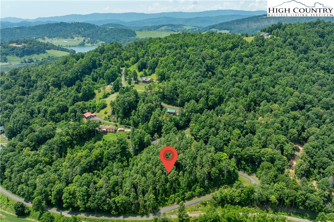 Lot 1 Lake Ridge Butler, TN 37640 - Photo 3 of 24 a view of a lush green field with a tree