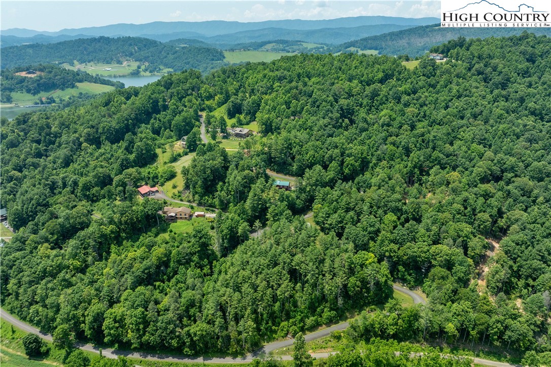 Lot 1 Lake Ridge Butler, TN 37640 - Photo 4 of 24 an aerial view of a house with a lush green forest