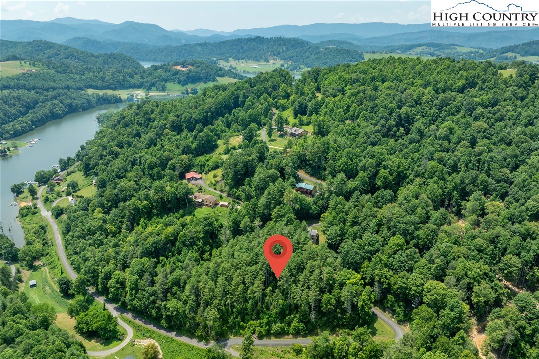 Lot 1 Lake Ridge Butler, TN 37640 - Photo 5 of 24 a view of a lush green field with a tree in the background