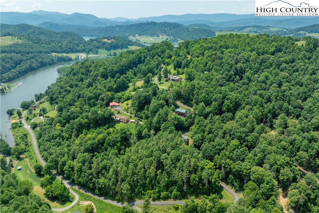 Lot 1 Lake Ridge Butler, TN 37640 - Photo 6 of 24 a view of a lush green field with a tree in the background