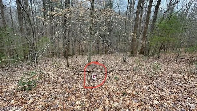 $29,999 | Lot 17 Woods Haven Lane, Stuart, VA 24171