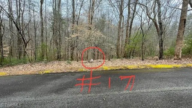 $29,999 | Lot 17 Woods Haven Lane, Stuart, VA 24171