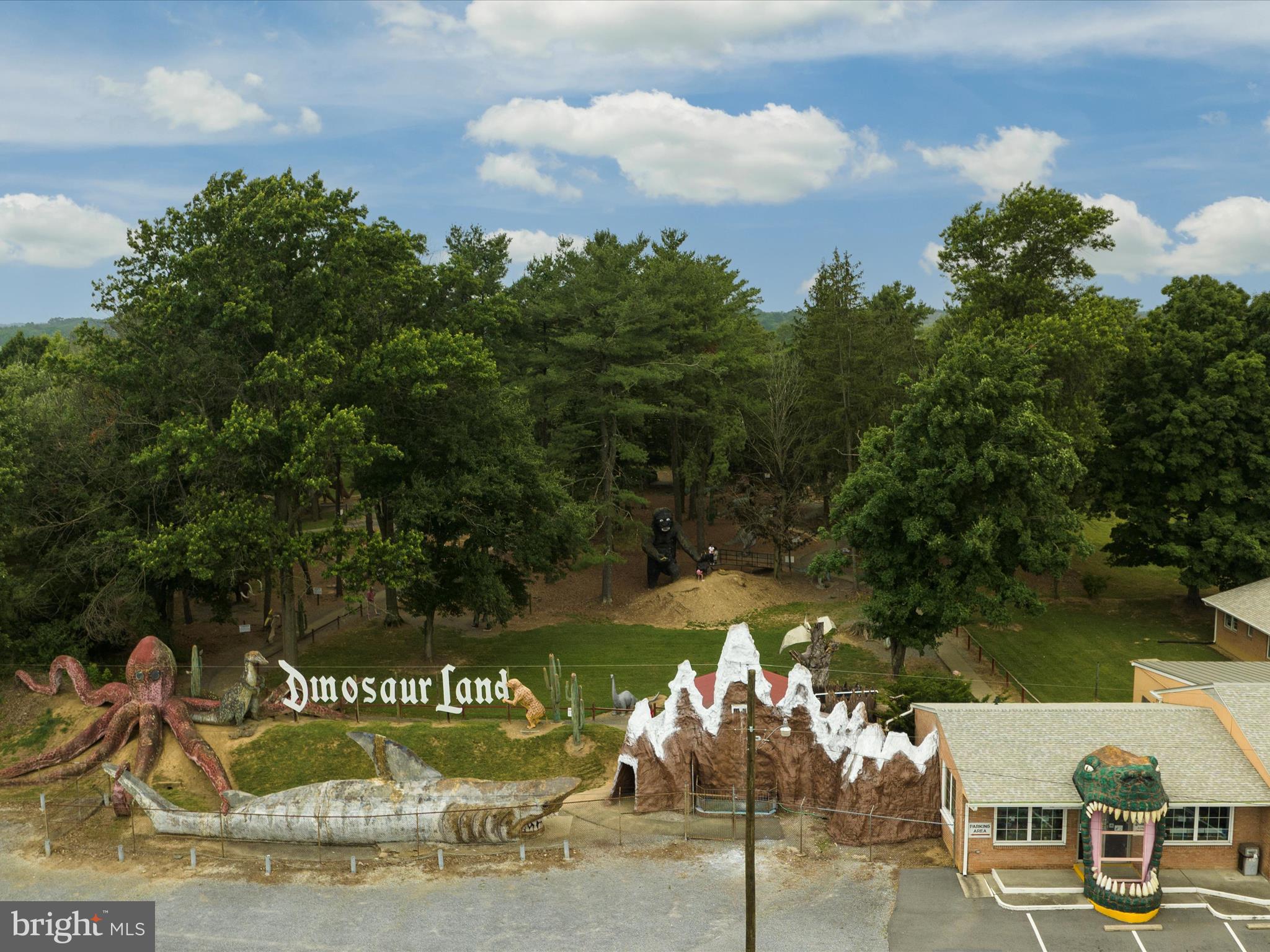 105 Raven Road Stephens City, VA 22655 - Photo 46 of 57 Dinosaur land