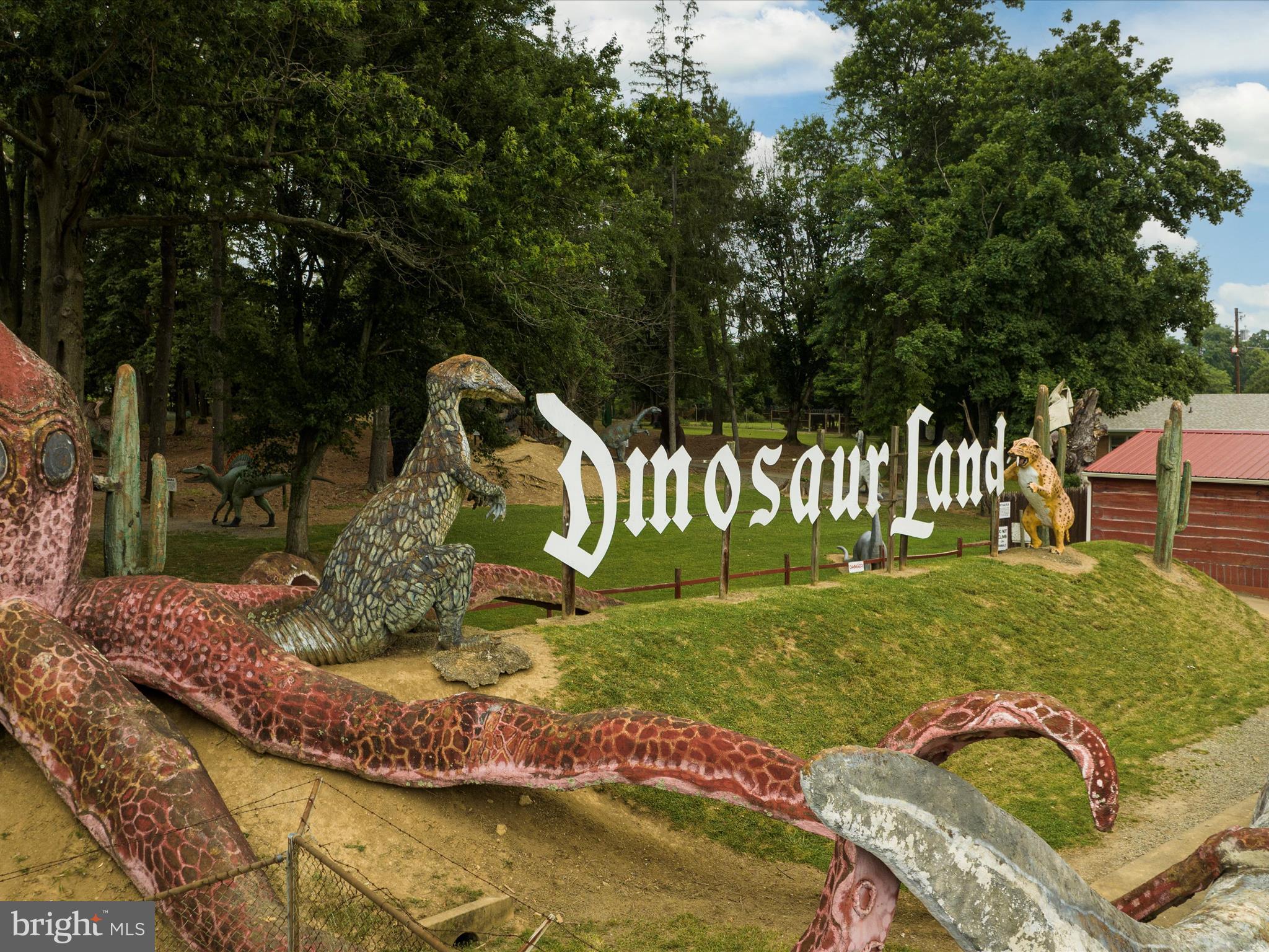 105 Raven Road Stephens City, VA 22655 - Photo 47 of 57 Dinosaur land