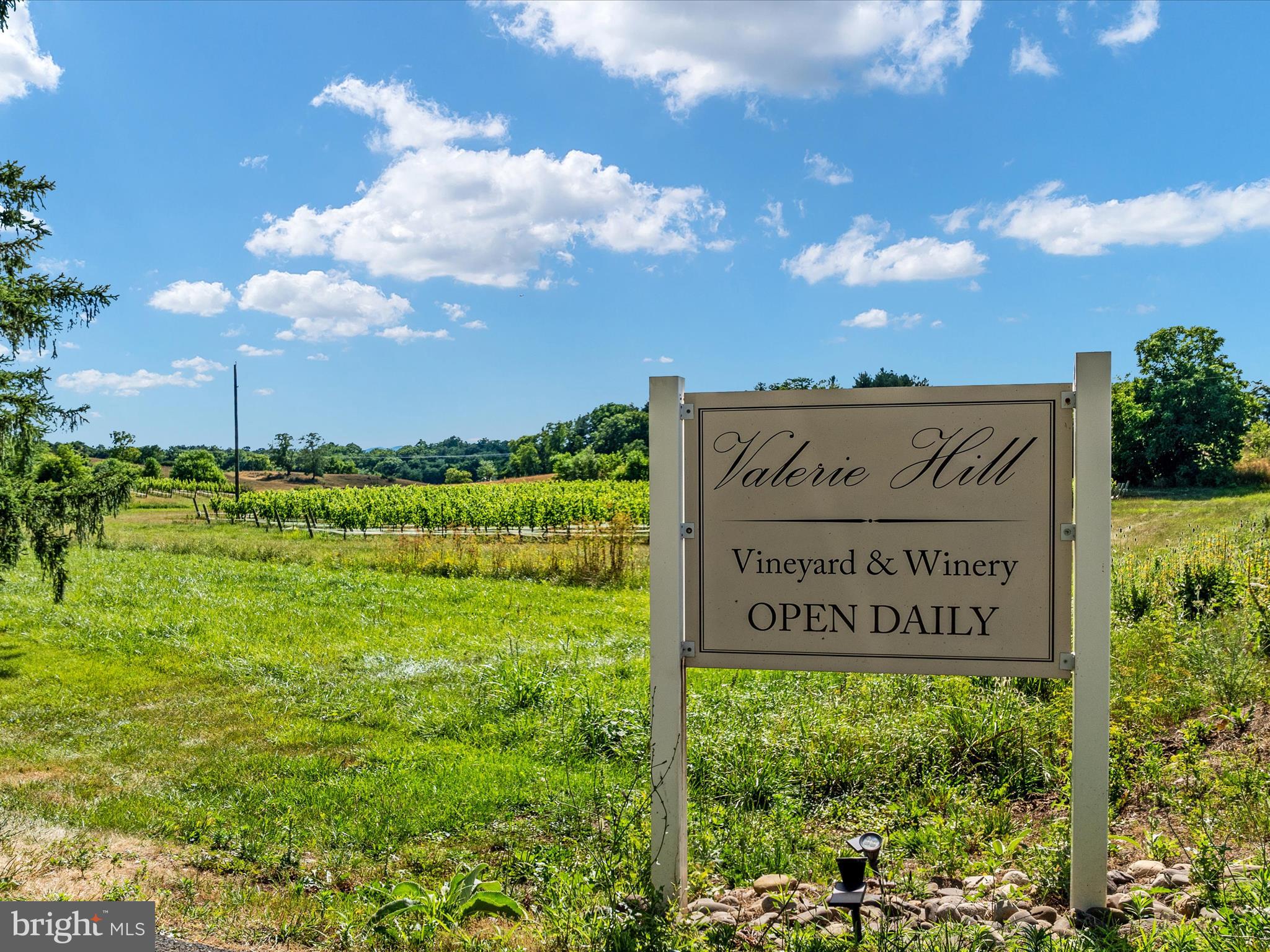 105 Raven Road Stephens City, VA 22655 - Photo 53 of 57 Valarie Hill Winery