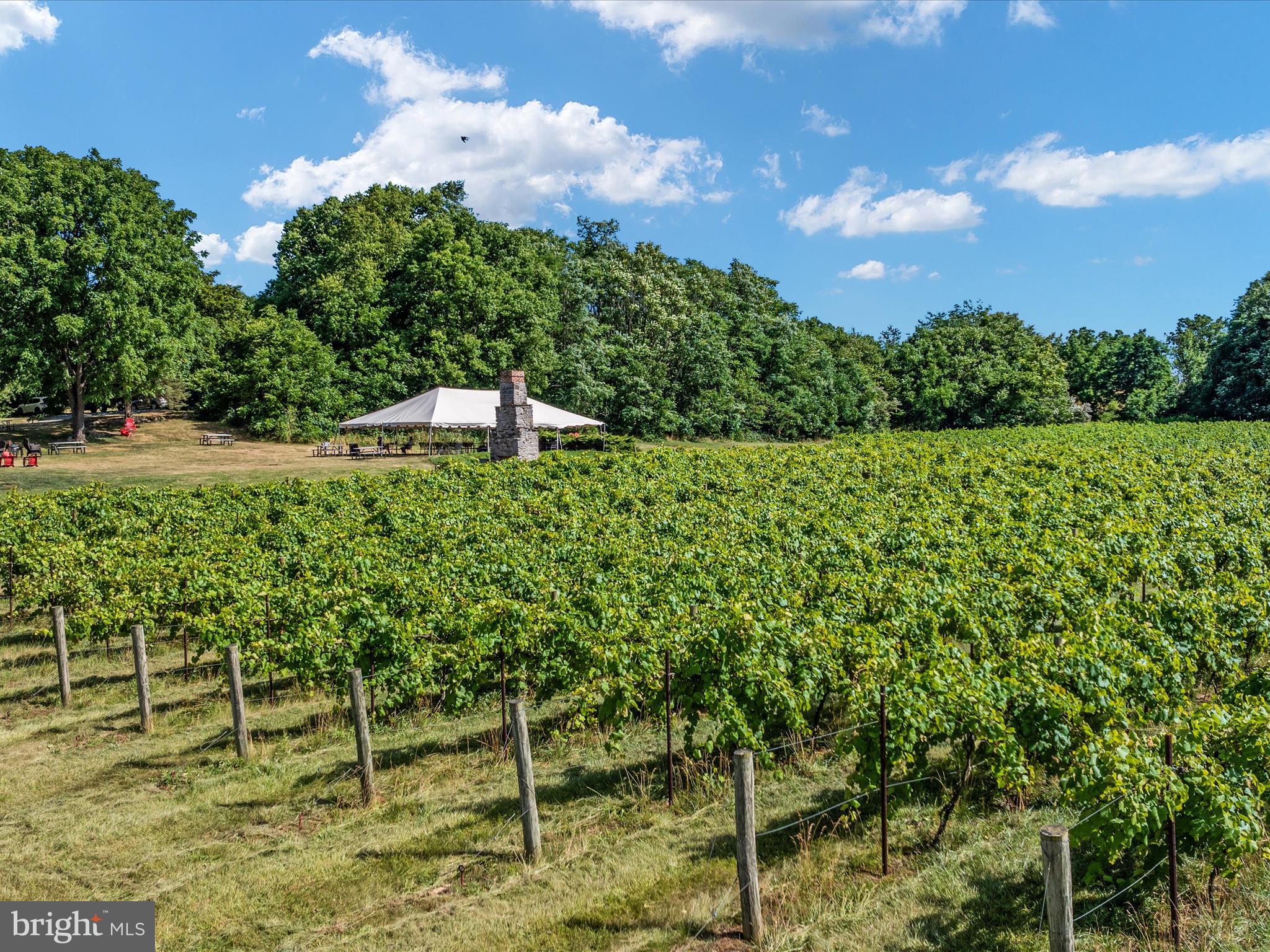 105 Raven Road Stephens City, VA 22655 - Photo 54 of 57 Valarie Hill Winery