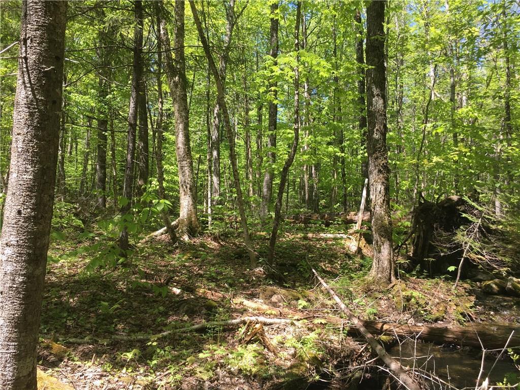 52 Black Point Road Mount Chase, ME 04765 - Photo 15 of 29 Photo