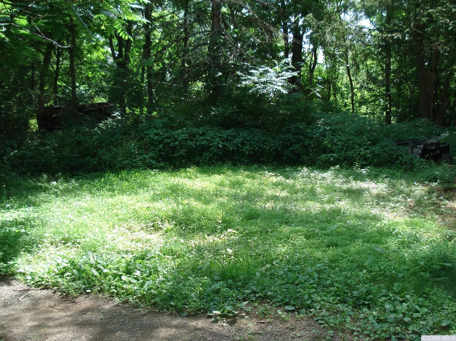 69 Old Travis Road Athens, NY 12414 - Photo 2 of 5 a view of trees in a garden