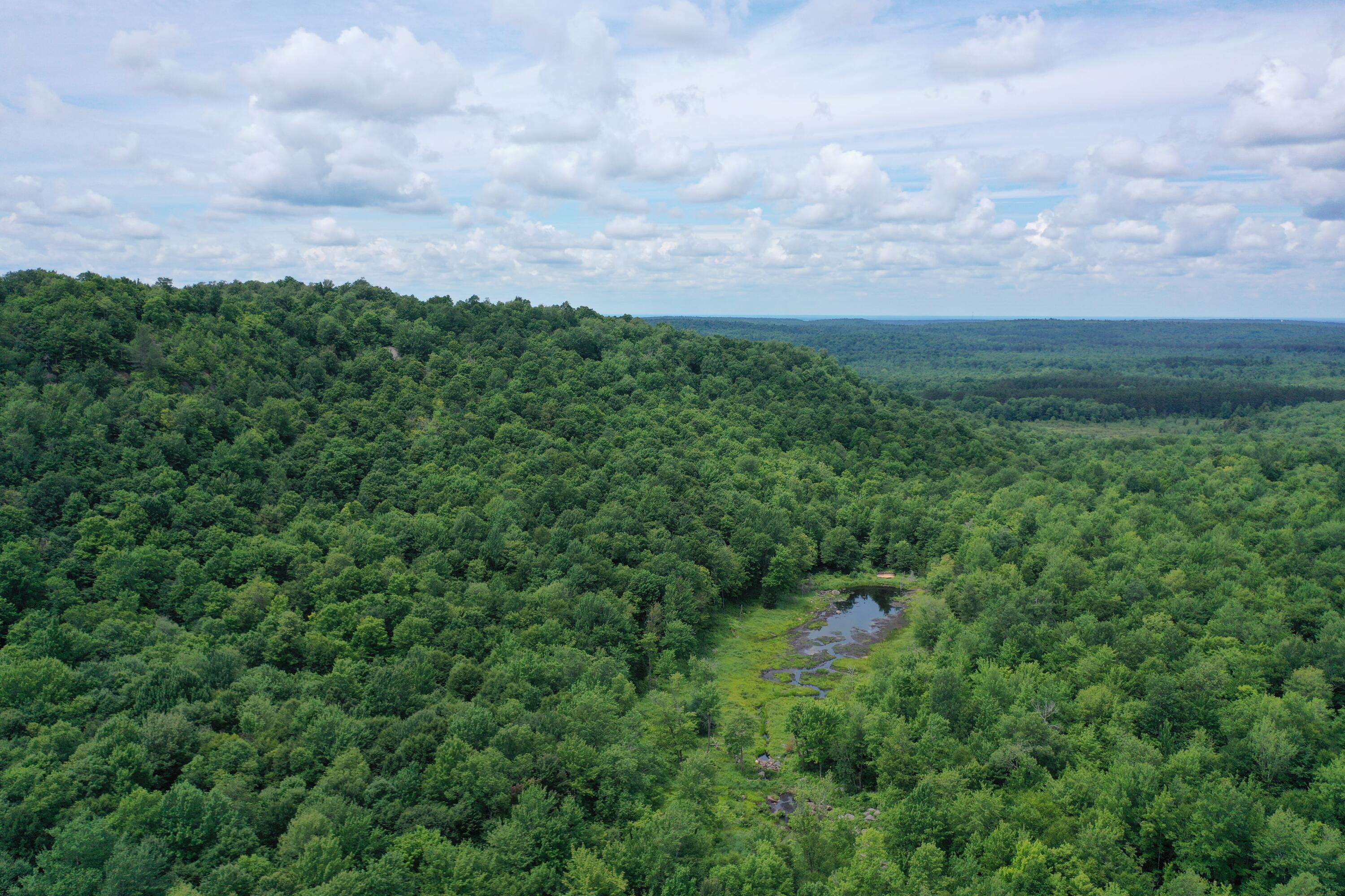 460 Little John Road Colton, NY 13625 - Photo 8 of 14 DJI_0004-DF