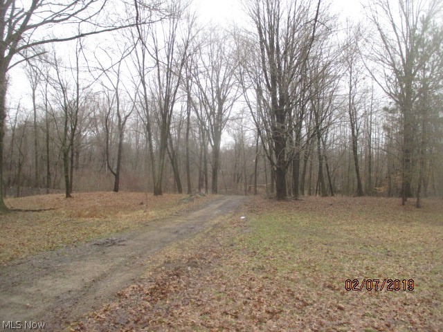 10010 Angling Road Wakeman, OH 44889 - Photo 5 of 29