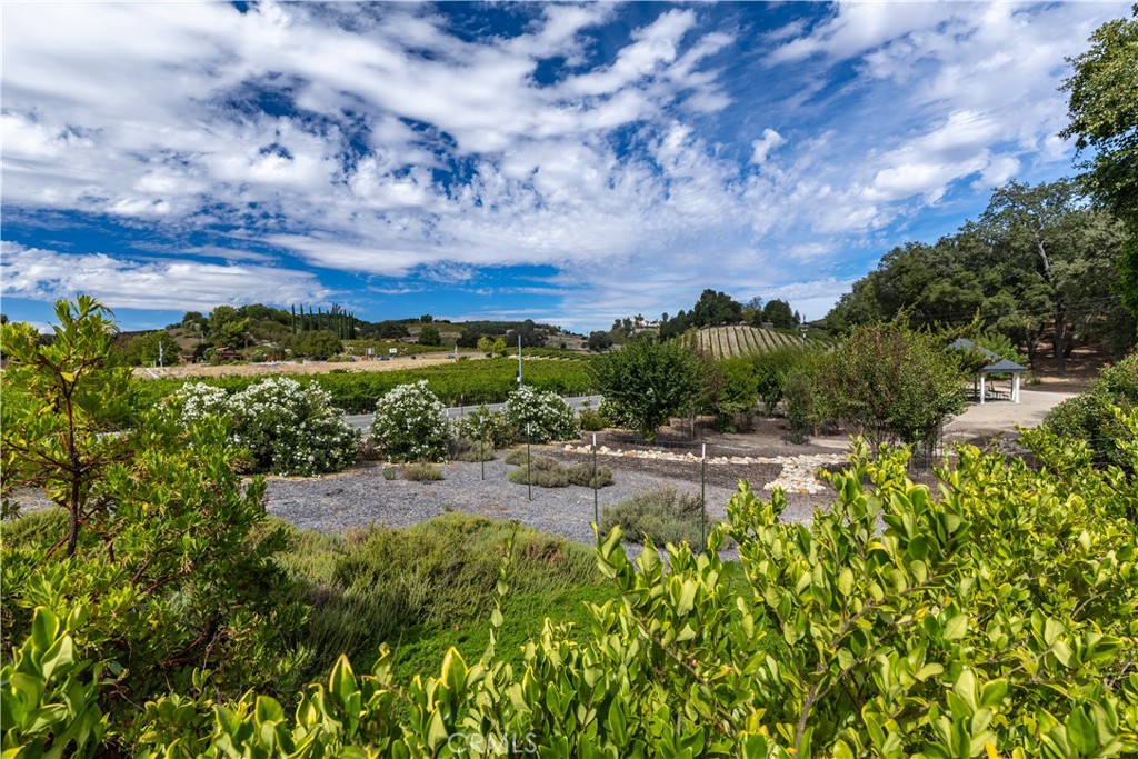 2720 Oak View Road Templeton, CA 93465 - Photo 22 of 75 Beautifully Landscaped Grounds Framed by Wine Country Views