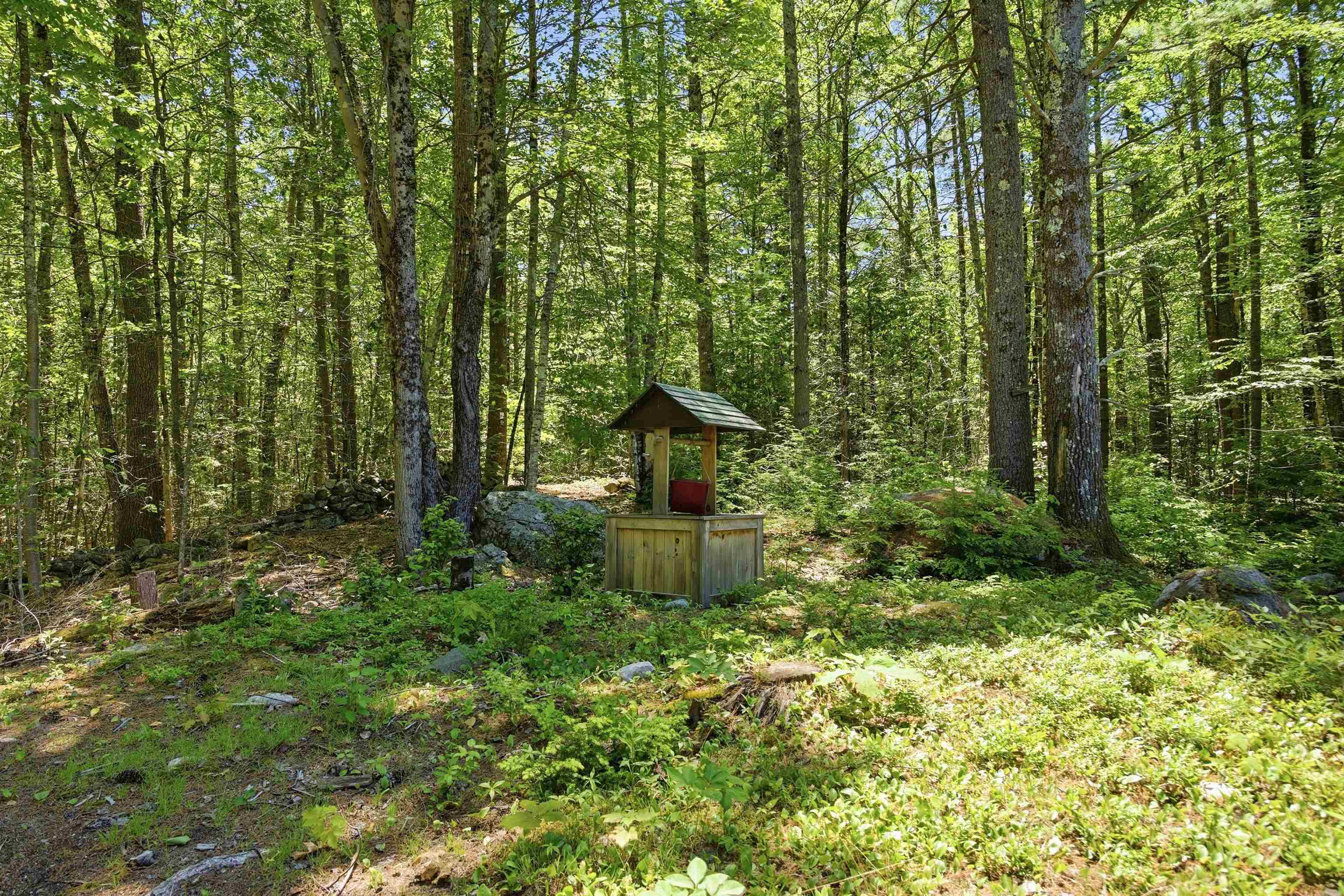 173 John Jones Road Middleton, NH 03887 - Photo 59 of 60