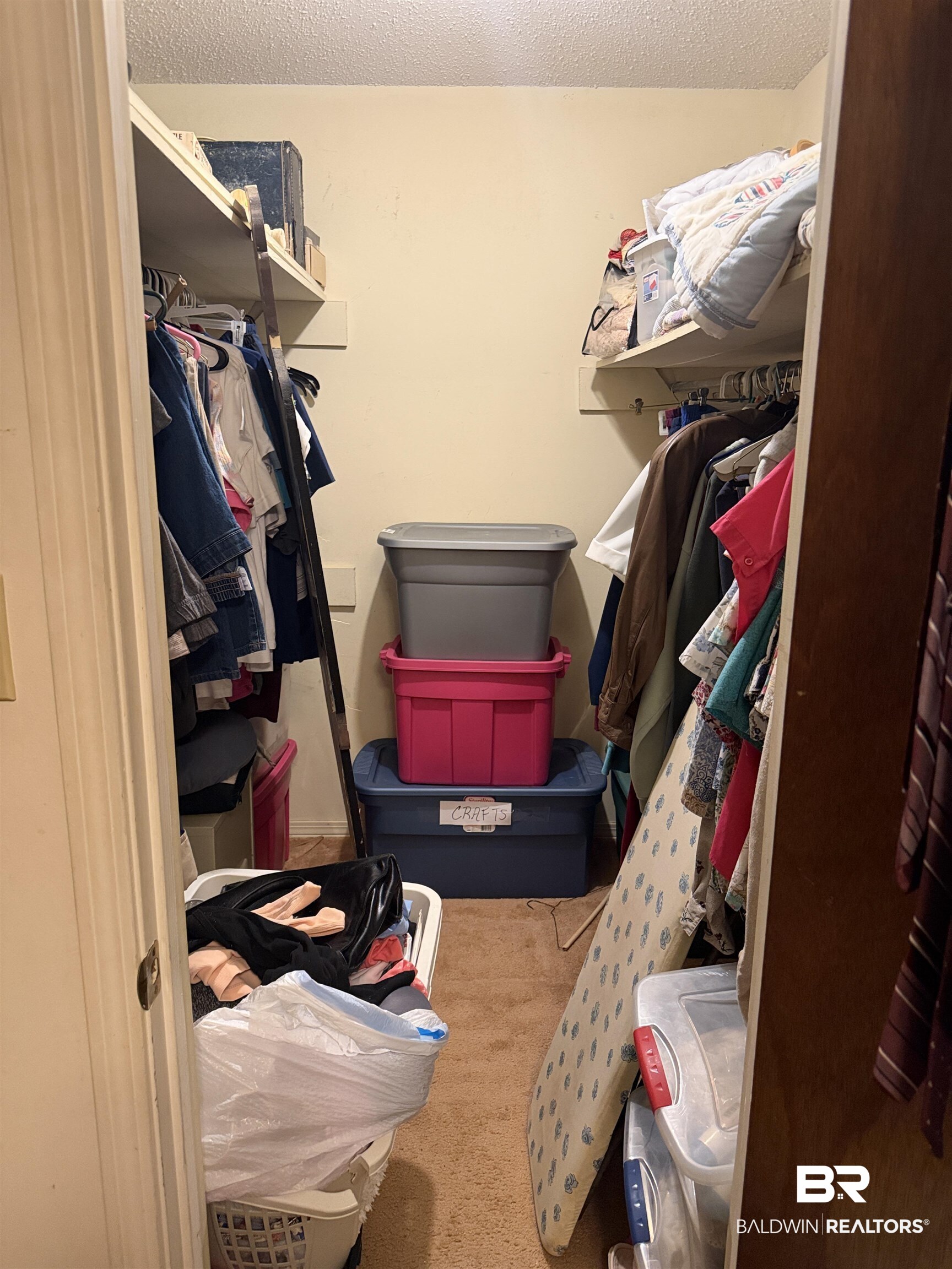 513 Club Wiley Road Jackson, AL 36545 - Photo 18 of 19 Walk in closet featuring carpet floors
