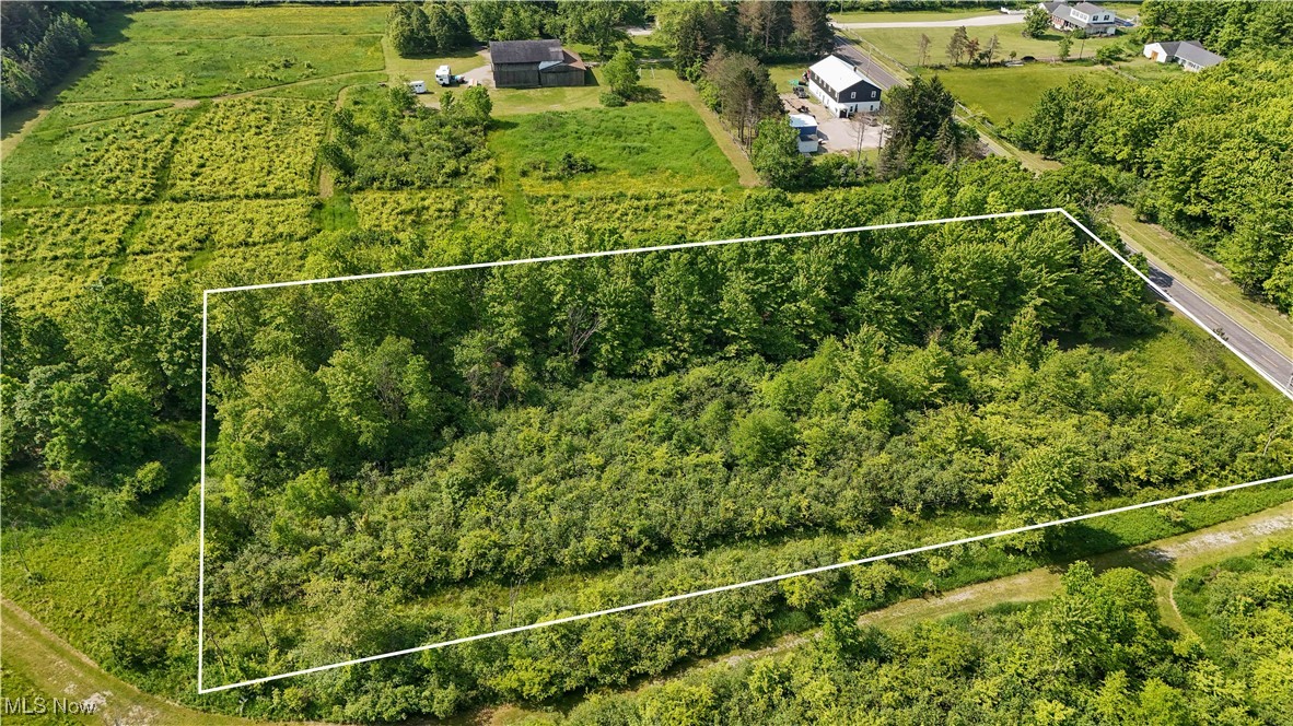 Brakeman Road Painesville, OH 44077 - Photo 12 of 24 View of rural area featuring property parcel outlined