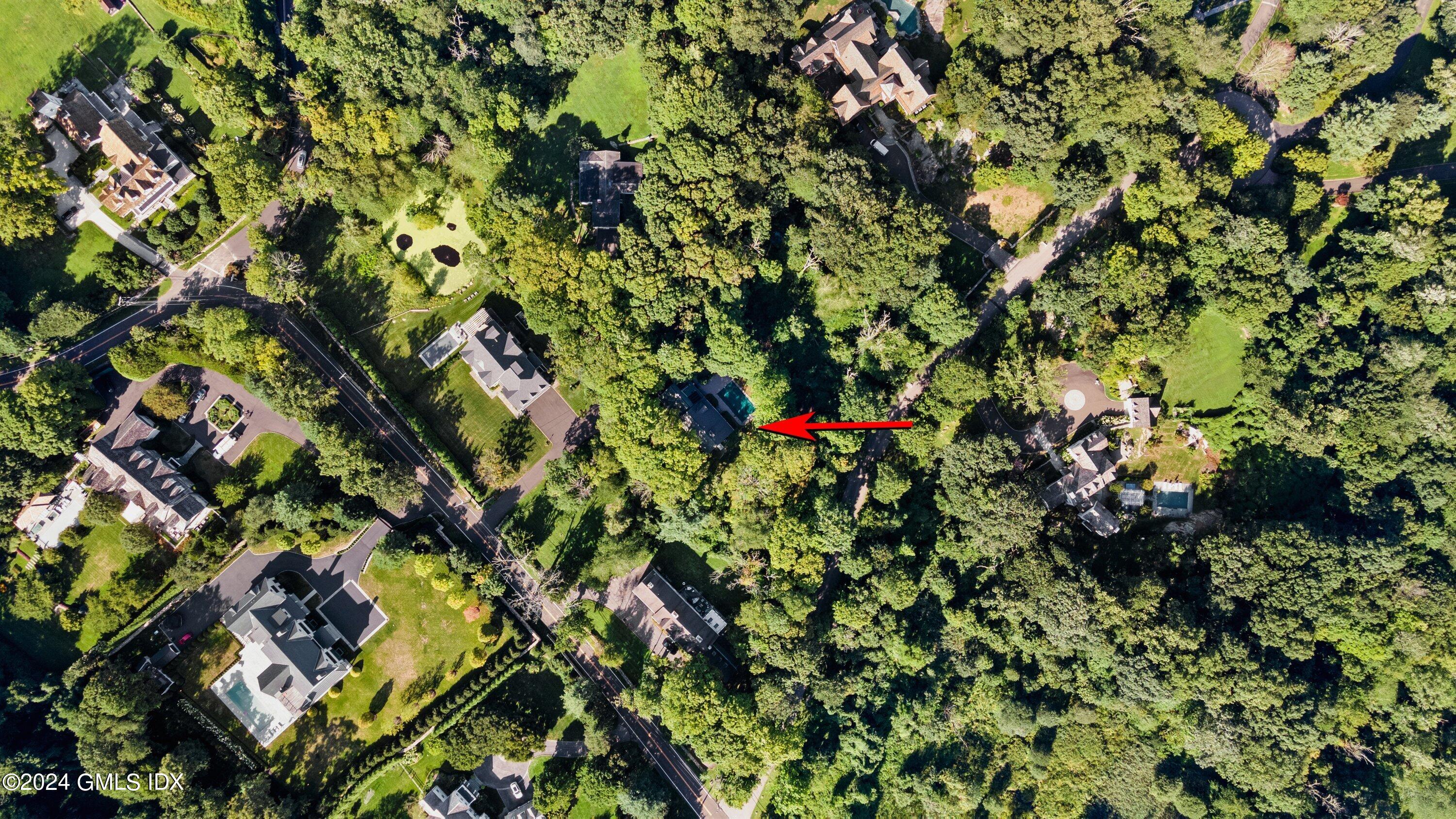 403 Stanwich Road Greenwich, CT 06830 - Photo 5 of 18 a view of a plant