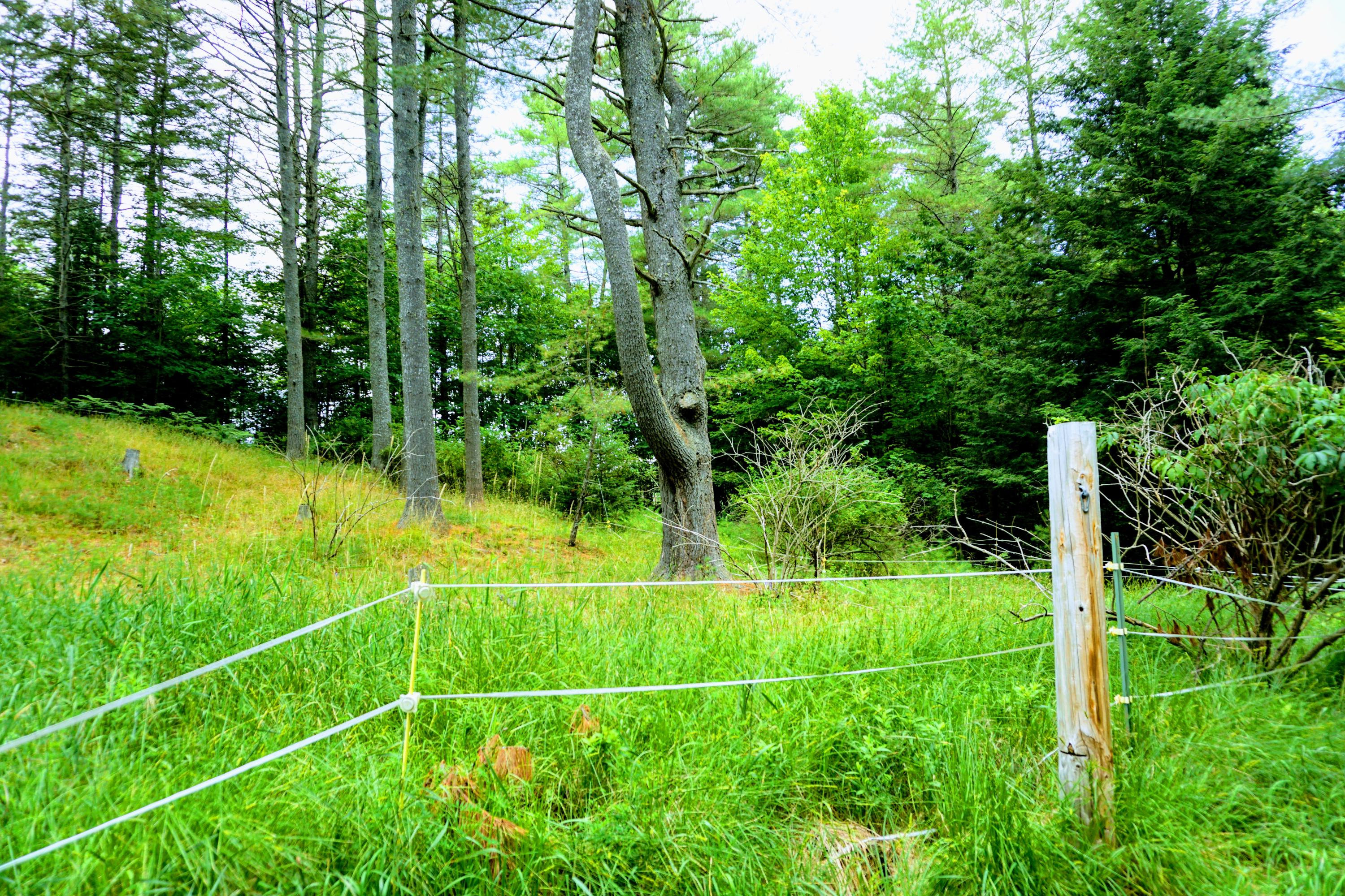117 Moody Road Lisbon, ME 04250 - Photo 40 of 46 40