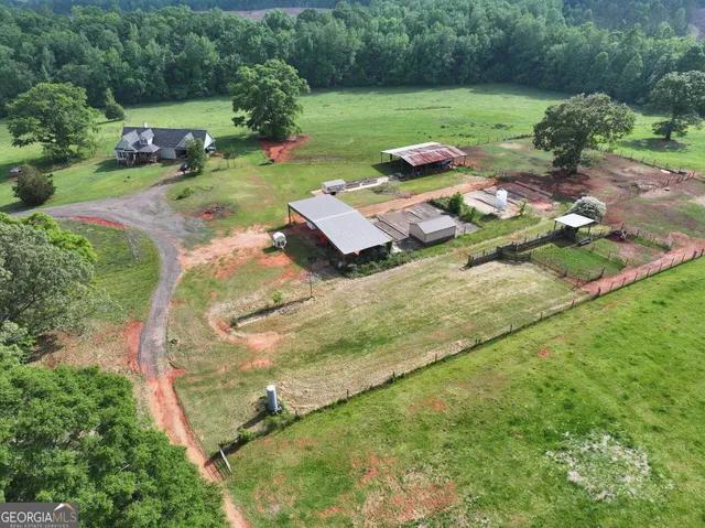 a view of backyard of house