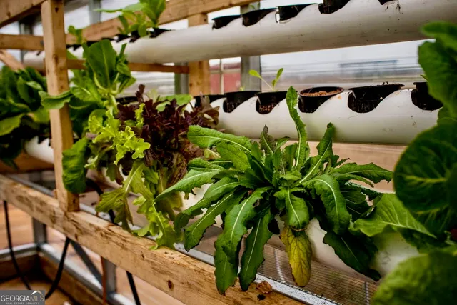 $889,000 | 1540 Flint Hill Highway, Shiloh, GA 31826