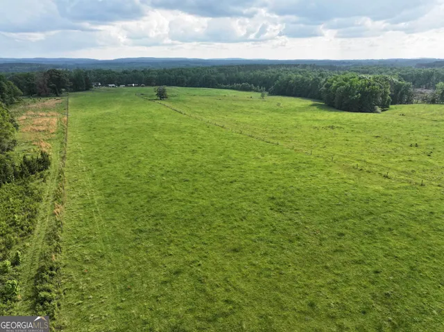 $889,000 | 1540 Flint Hill Highway, Shiloh, GA 31826