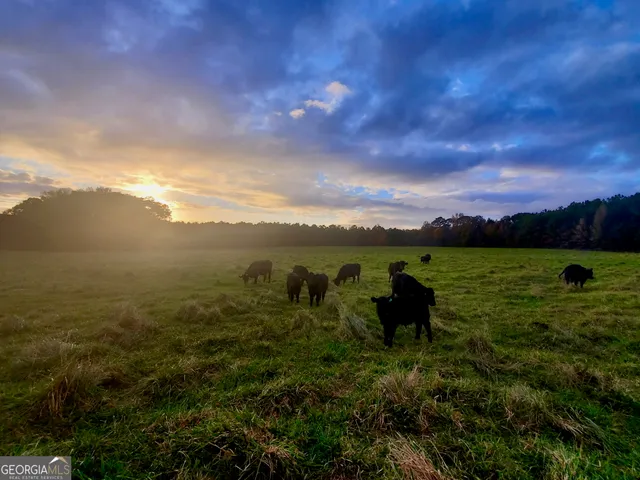 $889,000 | 1540 Flint Hill Highway, Shiloh, GA 31826