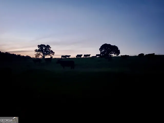 $889,000 | 1540 Flint Hill Highway, Shiloh, GA 31826