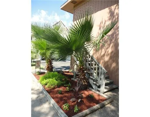 a view of a plant in a yard